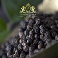 black-pepper-online-store.jpg