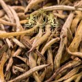Silver Needle White Tea 1.jpg