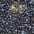 Juniper Fruit 4.jpg