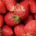 strawberry-fruit-tea-with-coconut-1.jpg