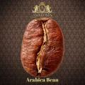 arabica-bean-bean.jpg