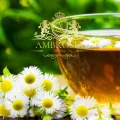 Herbal Tea.png