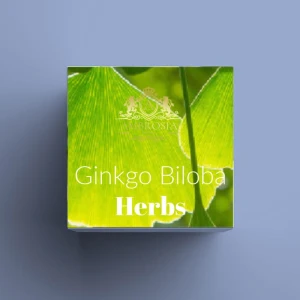 Ginkgo Biloba