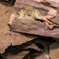 Lotos Leaf a.jpg