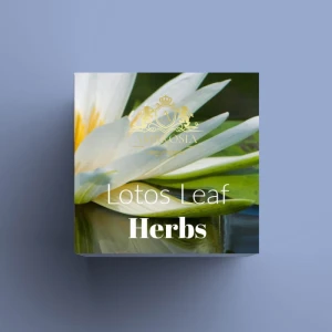 Lotos Leaf