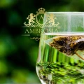 Herbs Ambrosia.jpg