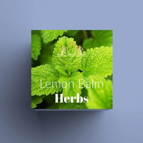 Lemon Balm.jpg