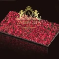 Dark Chocolate 70.4% with Rraspberries &amp; Green Pepper .jpg