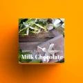 Milk Chocolate Jasmine Flower &amp; Dandelion.jpg