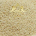 Ground Onion a.jpg