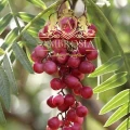 Red Peppercorns b.jpg