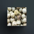 White Pepper.jpg