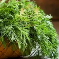 Dried Dill 2.jpg