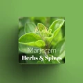 Marjoram.jpg
