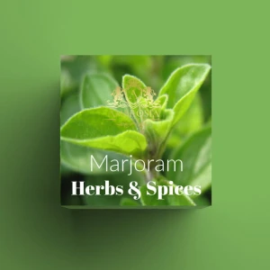 Marjoram