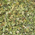 Marjoram 1.jpg