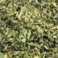 Oregano 1.jpg
