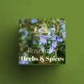 Rosemary.jpg