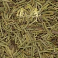 Rosemary 2.jpg