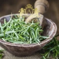 Rosemary 3.jpg