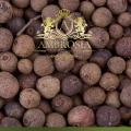 Allspice Grain 1.jpg