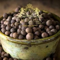 Allspice Grain 4.jpg