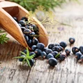 Juniper Fruit.jpg