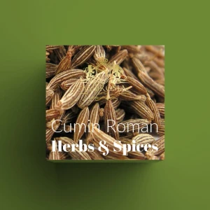 Cumin Roman Seed 