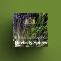 Herbes de Provence 2.jpg