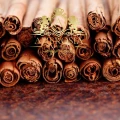 Cinnamon.4.jpg