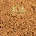 Guarana 5.jpg