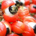 Guarana 6.jpg