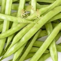 Guar Gum 1.jpg