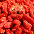 Goji Berries 2.jpg