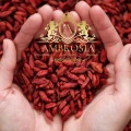Goji Berries 6.jpg