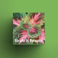 forskolin-capsule-ireland.jpg