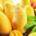 african-mango-ireland-6.jpg