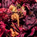enchanted-forest-fruit-tea-1.jpg