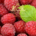 raspberry-fruit-tea-with-linden-flower-1.jpg