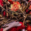 Euphoria-White-Tea 1.jpg