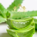 White tea aloe Ireland.jpg