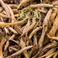 Silver Needle White Tea 1.jpg