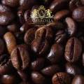 100%-Robust-bean-1.jpg